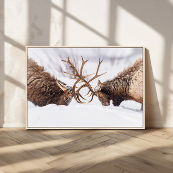 36507609-MGV-CV-36X24-Elk Clash Scene Wall Art Canvas Print, Framed Wildlife Strength Decor Art Picture Print, Snowy Forest Elk Perfect Rustic Lodge