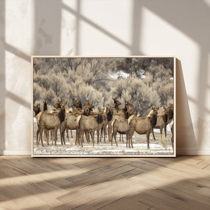 90269422-MGV-CV-36X24-Elk Herd Scene Wall Art Canvas Print, Framed Rustic Wildlife Decor Art Picture Print, Western Cabin Style Perfect Rustic Lodge