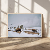 60308289-MGV-CV-36X24-Bison Wildlife Wall Art Canvas Print, Framed Snowy Prairie Art Picture Print, Western Landscape Perfect Rustic Winter Decor