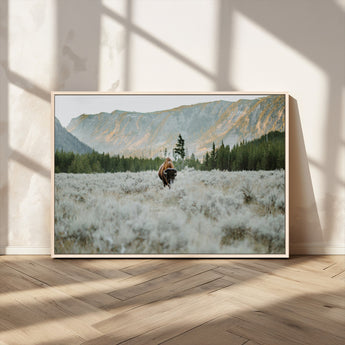 41674074-MGV-CV-36X24-Bison Wall Art – American Buffalo Wildlife Photography Canvas Print, Western Mountain Landscape Artwork Rustic Nature Decor for