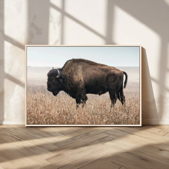 69909079-MGV-CV-36X24-Bison Wall Art – Majestic Buffalo Canvas Print in Prairie Grasslands, Rustic Western Animal Painting, Farmhouse Ranch Decor for