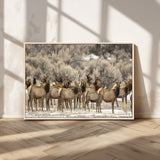 93076148-MGV-CV-36X24-Elk Herd Wall Art – Wildlife Canvas Print of Elk in Winter Landscape, Rustic Western Cabin & Lodge Décor, Nature Photography for