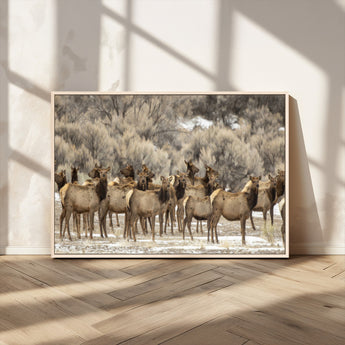 93076148-MGV-CV-36X24-Elk Herd Wall Art – Wildlife Canvas Print of Elk in Winter Landscape, Rustic Western Cabin & Lodge Décor, Nature Photography for