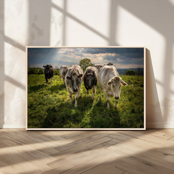 67277447-MGV-FC-36X24_Natural-Farmhouse Wall Art – Herd of Cows Canvas Print, Rustic Country Pasture Photography Decor for Bedroom, Living Room, Office, Ranch,