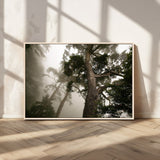 87969493-MGV-CV-36X24-Forest Wall Art – Misty Tall Trees Canvas Print, Dramatic Woodland Photography Decor for Bedroom, Living Room, Office, Cabin,