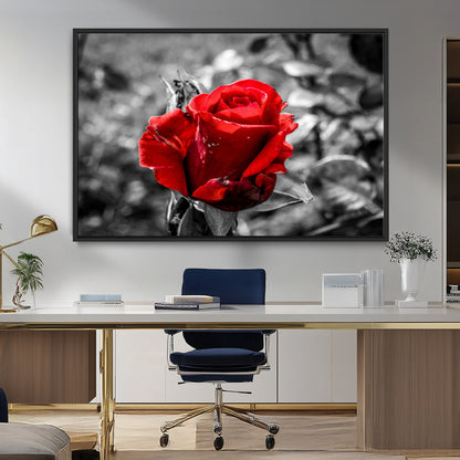 84671-MGV-CV-36X24-Red Rose Wall Art – Vibrant Single Bloom Canvas Print with Black and White Background, Elegant Floral Decor for Living Room,