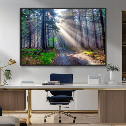 42047-MGV-FC-36X24_Black-Sunlit Forest Path Wall Art – Nature Canvas Print, Serene Woodland Landscape, Perfect Home & Office Decor for Calm and Tranquil