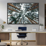 18790-MGV-CV-36X24-Pine Canopy Wall Art – Panoramic View of Towering Pines Canvas Print, Nature-Inspired Decor for Office, Cabin or Living Room