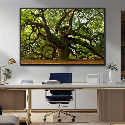 29407-MGV-FC-36X24_Black-Ancient Oak Tree Wall Art – Majestic Nature Canvas Print, Large Tree Photography Decor for Living Room or Office
