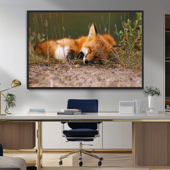 25085-MGV-FC-36X24_Black-Sleeping Fox Wall Art Canvas Print, Framed Rustic Fox Art Picture Print, Wildlife Animal Perfect Rustic Farmhouse Decor Artwork
