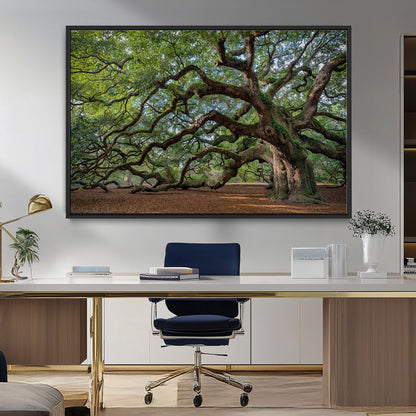 MGV-FC-36X24 - Historic Tree Wall Art Canvas Print, Framed Mossy Tree Art Picture Print, Twisted Branches Perfect Nature Southern Decor Artwork