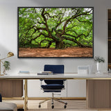 51255351-MGV-FC-36X24_Black-Ancient Tree Wall Art – Majestic Oak Canvas Print, Large Nature Photography, Sacred Forest Landscape Wall Décor, Wisdom Tree
