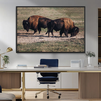 58141885-MGV-FC-36X24_Black-Bison Photography Wall Art Canvas Print, Framed Western Wildlife Art Picture Print, Modern Ranch Perfect Western Rustic Decor