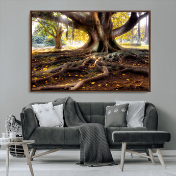 53335-MGV-CV-36X24-Majestic Tree with Sprawling Roots Wall Art – Serene Sunlit Park Scene, Nature Canvas Print, Perfect for Living Room, Office or