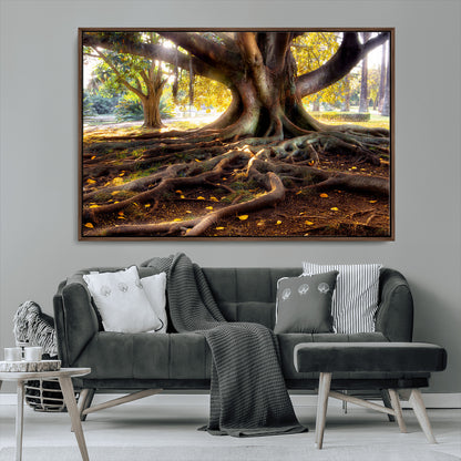 53335-MGV-CV-36X24-Majestic Tree with Sprawling Roots Wall Art – Serene Sunlit Park Scene, Nature Canvas Print, Perfect for Living Room, Office or