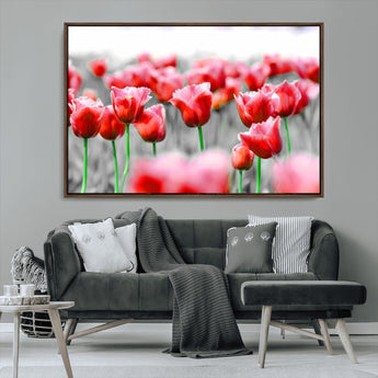 44554-MGV-FC-36X24_Walnut-Vibrant red tulips stand out beautifully against a black-and-white background, making a striking decor piece perfect for any home