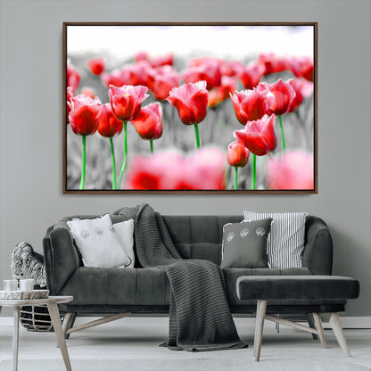 44554-MGV-FC-36X24_Walnut-Vibrant red tulips stand out beautifully against a black-and-white background, making a striking decor piece perfect for any home