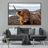 71222-MGV-CV-36X24-A playful Highland cow with shaggy fur sticks out its tongue, set against a rugged landscape — perfect for quirky home or office