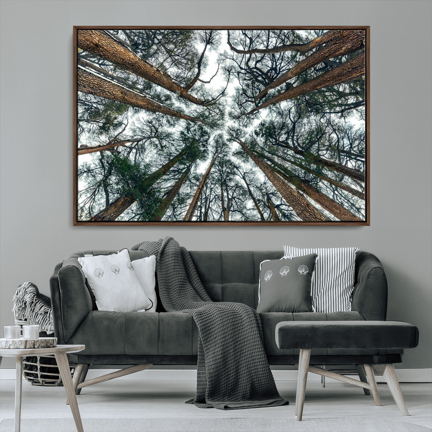 18790-MGV-CV-36X24-Pine Canopy Wall Art – Panoramic View of Towering Pines Canvas Print, Nature-Inspired Decor for Office, Cabin or Living Room