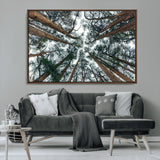 18790-MGV-CV-36X24-Pine Canopy Wall Art – Panoramic View of Towering Pines Canvas Print, Nature-Inspired Decor for Office, Cabin or Living Room