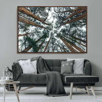 18790-MGV-CV-36X24-Pine Canopy Wall Art – Panoramic View of Towering Pines Canvas Print, Nature-Inspired Decor for Office, Cabin or Living Room