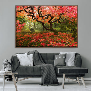 73343-MGV-CV-36X24-Autumn Maple Wall Art – Panoramic Vibrant Red Maple Tree Canvas Print, Seasonal Nature Decor for Office, Living Room or Garden