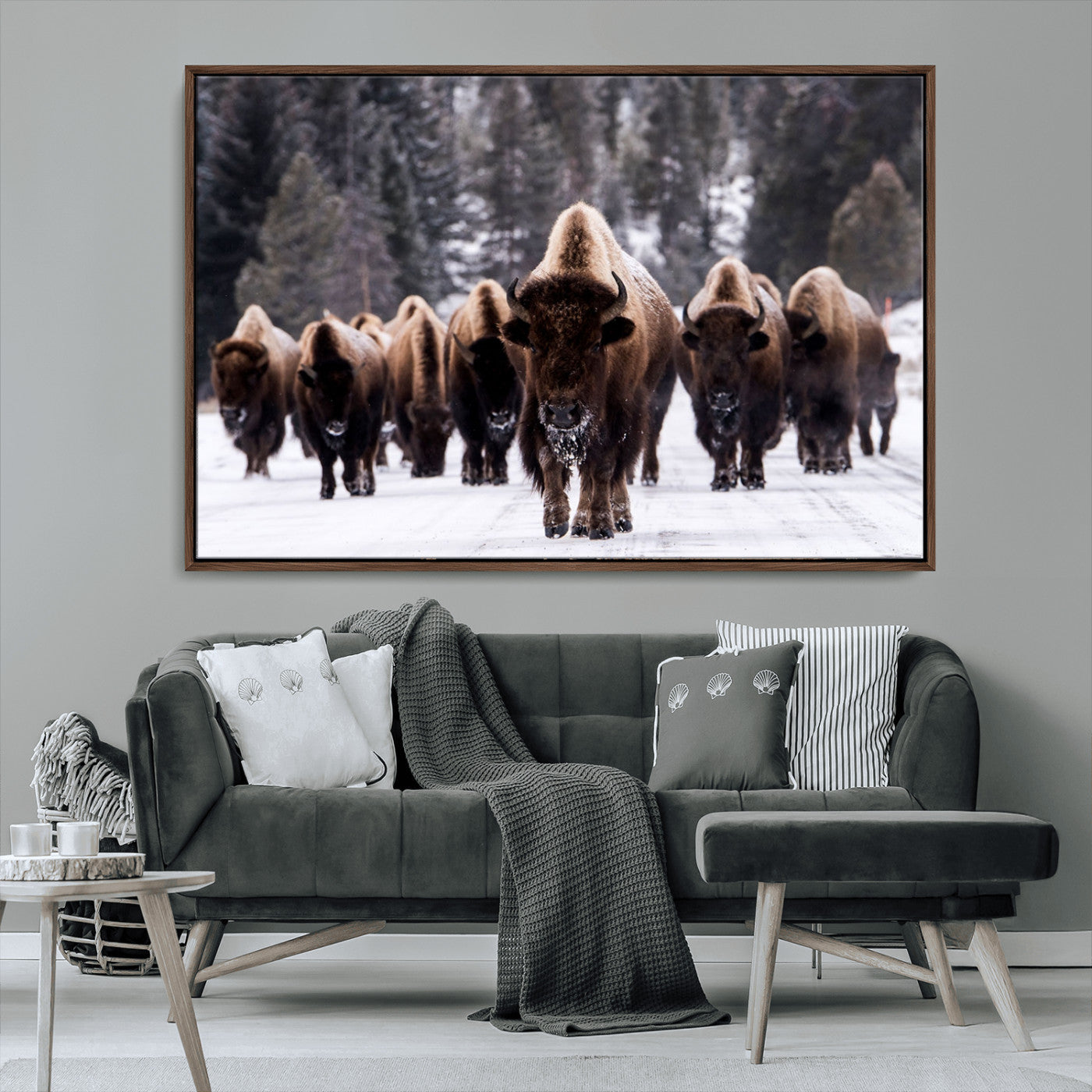 66871-MGV-CV-36X24-Bison Herd Wall Art – Wildlife Buffalo Canvas Print, Rustic Western Nature Photography Decor for Living Room, Office, Cabin, or