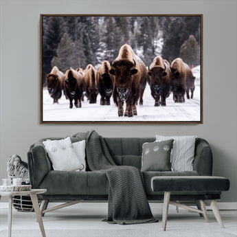 66871-MGV-CV-36X24-Bison Herd Wall Art – Wildlife Buffalo Canvas Print, Rustic Western Nature Photography Decor for Living Room, Office, Cabin, or