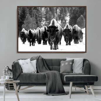 62434-MGV-CV-36X24-Bison Herd Wall Art – Majestic Black and White Buffalo Canvas Print, Wildlife Nature Photography Decor for Living Room, Office or