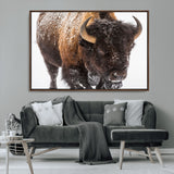 65605-MGV-CV-36X24-Snow Bison Wall Art – Close Up Buffalo Canvas Print, Rustic Western Wildlife Photography, Farmhouse Cabin Lodge Decor for Living