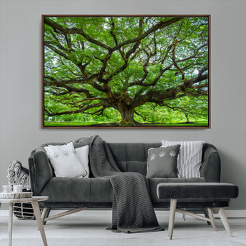49375306-MGV-CV-36X24-Ancient Tree Wall Art Canvas Print, Framed Sprawling Branches Art Picture Print, Gnarling Tree Perfect Earthy Natural Decor