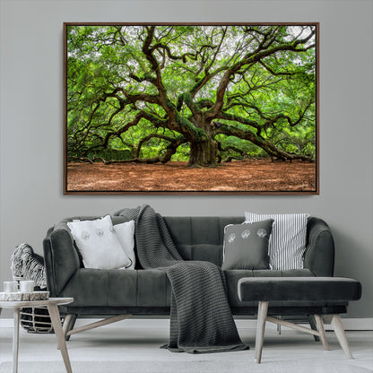 51255351-MGV-CV-36X24-Ancient Tree Wall Art – Majestic Oak Canvas Print, Large Nature Photography, Sacred Forest Landscape Wall Décor, Wisdom Tree