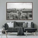 24051061-MGV-CV-36X24-Monochrome Highland Cow Wall Art Canvas Print, Framed Scottish Bull Art Picture Print, Lone Cattle Perfect Rustic Farmhouse Decor