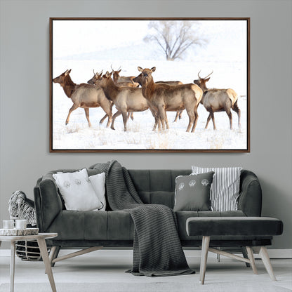 68738684-MGV-FC-36X24_Walnut-Winter Elk Scene Wall Art Canvas Print, Framed Wildlife Photography Art Picture Print, Snowy Deer Decor Perfect Rustic Lodge Decor