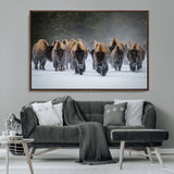 41669135-MGV-CV-36X24-Bison Herd Scene Wall Art Canvas Print, Framed Rustic Wildlife Decor Art Picture Print, Snowy Bison Landscape Perfect Rustic