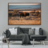 39509187-MGV-CV-36X24-Western Wildlife Wall Art Canvas Print, Framed Bison Art Picture Print, Golden Hour Perfect Western Rustic Decor Artwork