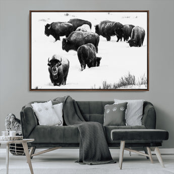 18914414-MGV-CV-36X24-Buffalo Herd Wall Art Canvas Print, Framed Black and White Art Picture Print, Snowy Landscape Perfect Rustic Lodge Decor Decor