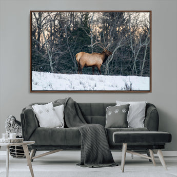 36533178-MGV-CV-36X24-Wild Elk Photography Wall Art Canvas Print, Framed Winter Wildlife Art Picture Print, Snowy Forest Perfect Rustic Lodge Decor