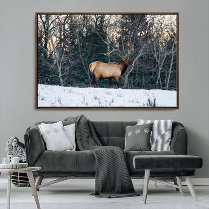 36533178-MGV-CV-36X24-Wild Elk Photography Wall Art Canvas Print, Framed Winter Wildlife Art Picture Print, Snowy Forest Perfect Rustic Lodge Decor