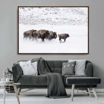61161423-MGV-CV-36X24-Running Bison Herd Wall Art – Winter Buffalo Canvas Print, Wildlife Photography Decor for Rustic Living Room, Farmhouse, Lodge,