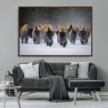 30332489-MGV-CV-36X24-Winter Bison Herd Wall Art – Powerful Buffalo Canvas Print, Rustic Wildlife Photography Decor for Farmhouse, Cabin, Lodge, Living