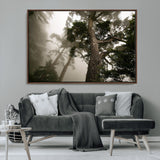 87969493-MGV-FC-36X24_Walnut-Forest Wall Art – Misty Tall Trees Canvas Print, Dramatic Woodland Photography Decor for Bedroom, Living Room, Office, Cabin,