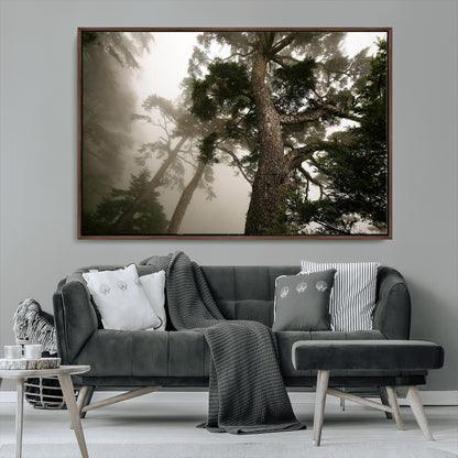 87969493-MGV-FC-36X24_Walnut-Forest Wall Art – Misty Tall Trees Canvas Print, Dramatic Woodland Photography Decor for Bedroom, Living Room, Office, Cabin,