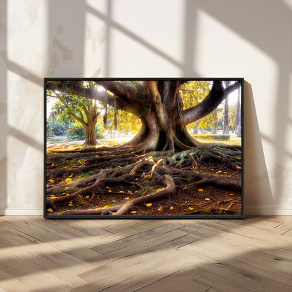53335-MGV-CV-36X24-Majestic Tree with Sprawling Roots Wall Art – Serene Sunlit Park Scene, Nature Canvas Print, Perfect for Living Room, Office or