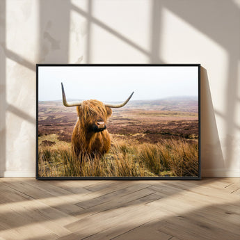79391-MGV-CV-36X24-Majestic Highland Cow in Misty Scottish Moorland – Rustic Natural Charm, Perfect for Unique Home or Office Decor