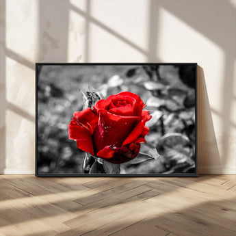 84671-MGV-FC-36X24_Black-Red Rose Wall Art – Vibrant Single Bloom Canvas Print with Black and White Background, Elegant Floral Decor for Living Room,