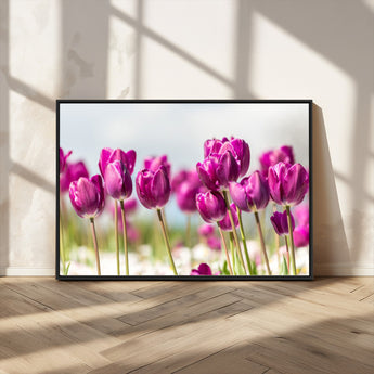 30632-MGV-CV-36X24-Purple Tulip Field Wall Art – Beautiful Spring Flowers Canvas Print with Soft Focus and Bright Sky, Ideal Floral Decor for Home or