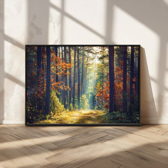 86249-MGV-CV-36X24-Sunlit Autumn Forest Path Wall Art – Peaceful Nature Scene with Fall Foliage, Calming Woods Decor for Home or Office