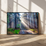 42047-MGV-CV-36X24-Sunlit Forest Path Wall Art – Nature Canvas Print, Serene Woodland Landscape, Perfect Home & Office Decor for Calm and Tranquil