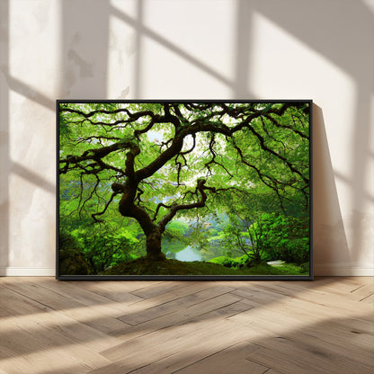 18094-MGV-CV-36X24-Emerald Canopy Wall Art – Panoramic Lush Green Tree Canvas Print, Serene Nature Decor for Office, Living Room or Meditation Space